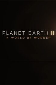 Planet Earth II: A World of Wonder