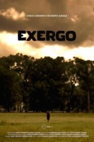 Exergo