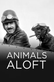 Animals Aloft