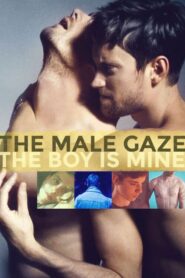 The Male Gaze: The Boy Is Mine