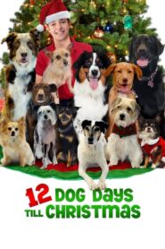 12 Dog Days Till Christmas