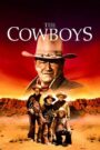 The Cowboys