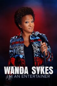 Wanda Sykes: I’m an Entertainer