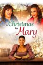 A Christmas for Mary