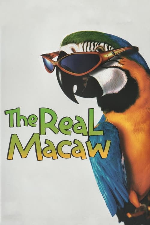 The Real Macaw