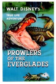 Prowlers of the Everglades