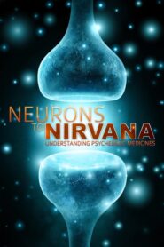 Neurons to Nirvana