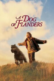 A Dog of Flanders