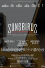 Songbirds