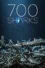 700 Sharks