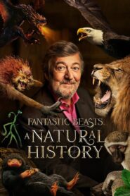 Fantastic Beasts: A Natural History