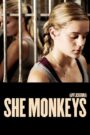 She Monkeys