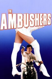 The Ambushers