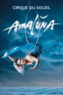 Cirque du Soleil: Amaluna