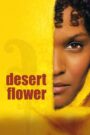 Desert Flower