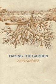 Taming the Garden