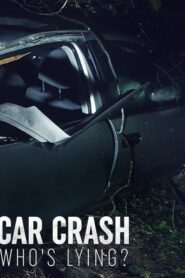 Car Crash: Who’s Lying?