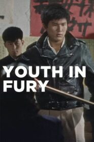 Youth in Fury