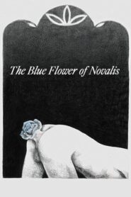 The Blue Flower of Novalis