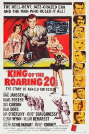 King of the Roaring 20’s – The Story of Arnold Rothstein