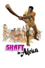 Shaft in Africa