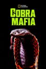 Cobra Mafia