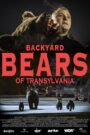 Backyard Bears of Transylvania