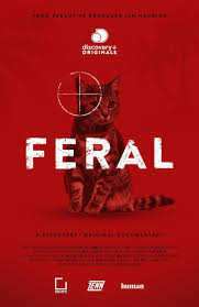 Feral