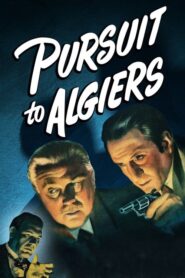 Pursuit to Algiers