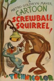 Screwball Squirrel