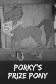 Porky’s Prize Pony