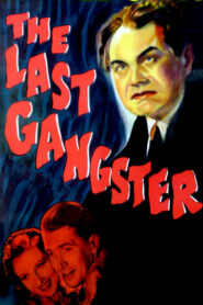 The Last Gangster