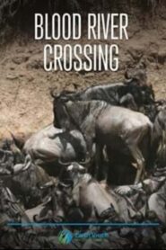 Blood River Crossing