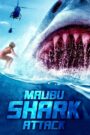 Malibu Shark Attack