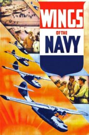 Wings of the Navy