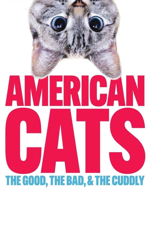 American Cats: The Good, the Bad, and the Cuddly