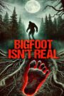 Bigfoot Isn’t Real