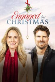 Engaged by Christmas