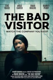 The Bad Visitor