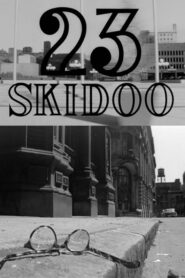 23 Skidoo