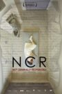 NCR: Not Criminally Responsible