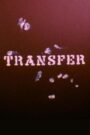 Transfer